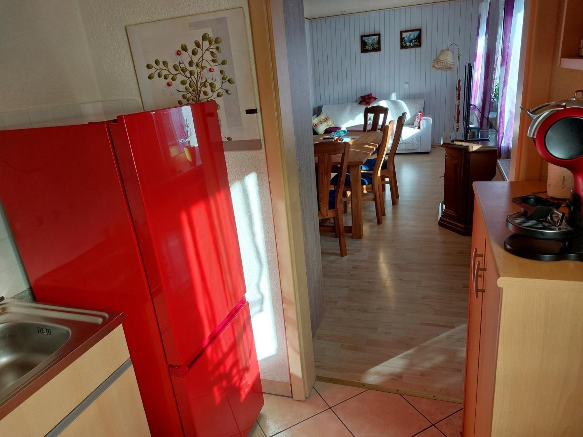 Landhauswohnung Am Thueringer Meer - Fuehlen Wie Zuhause Remptendorf Εξωτερικό φωτογραφία